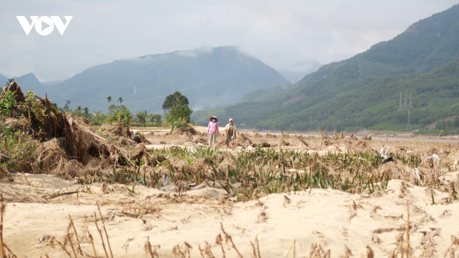 Nhà sập xuống sông, ruộng vùi trong cát, người dân hạ du Vu Gia gượng dậy sau lũ