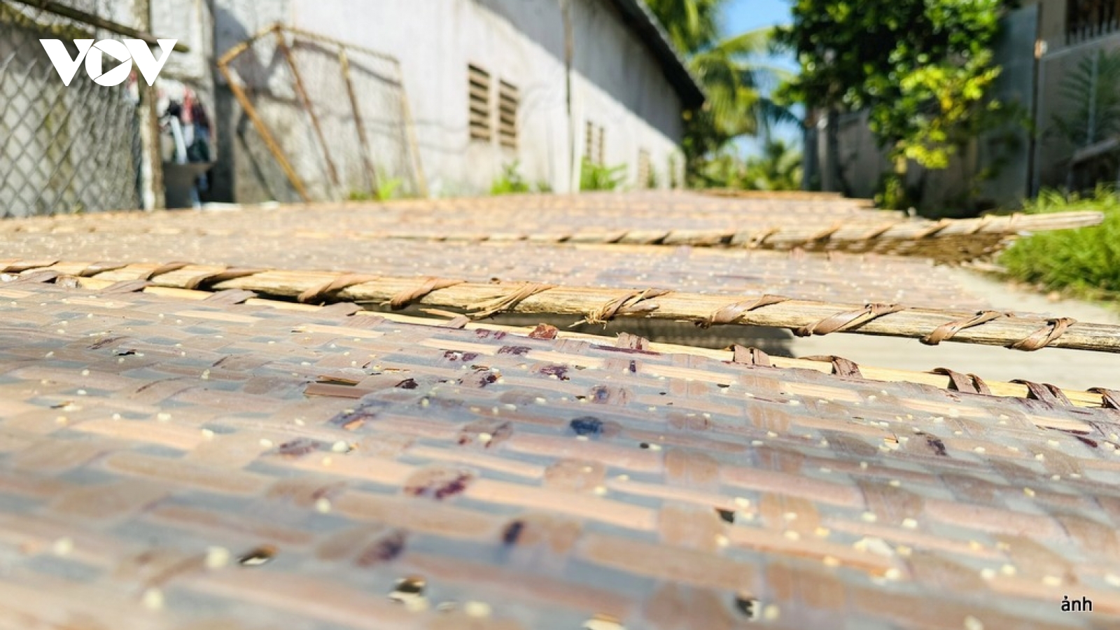 Hơi thở mùa Tết ở làng nghề bánh tráng Thuận Hưng