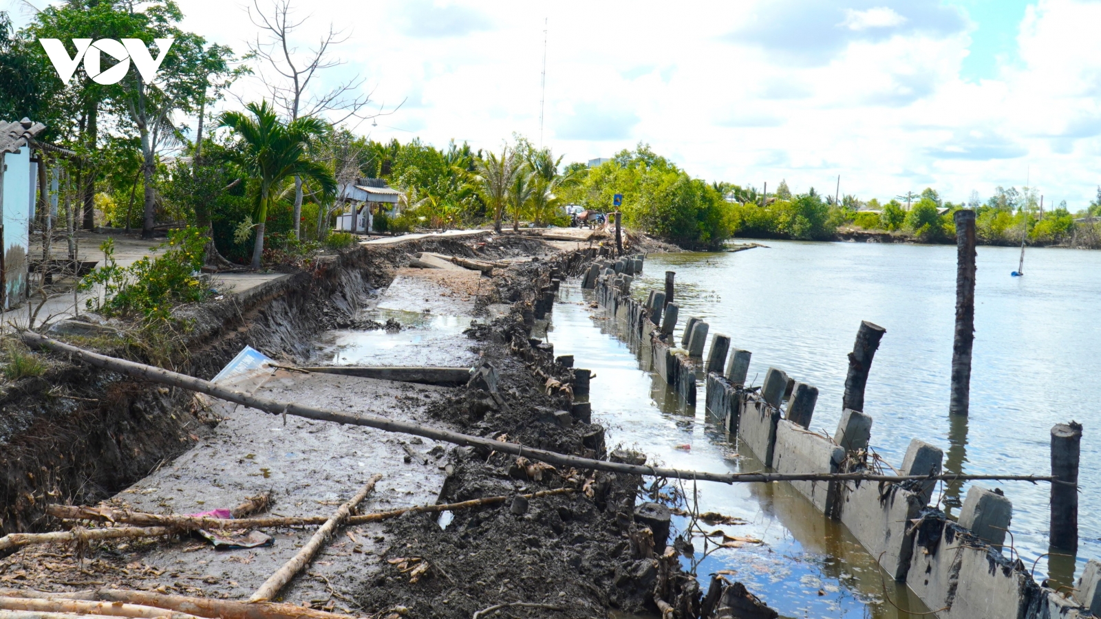 Cà Mau ban hành kế hoạch ứng phó biến đổi khí hậu