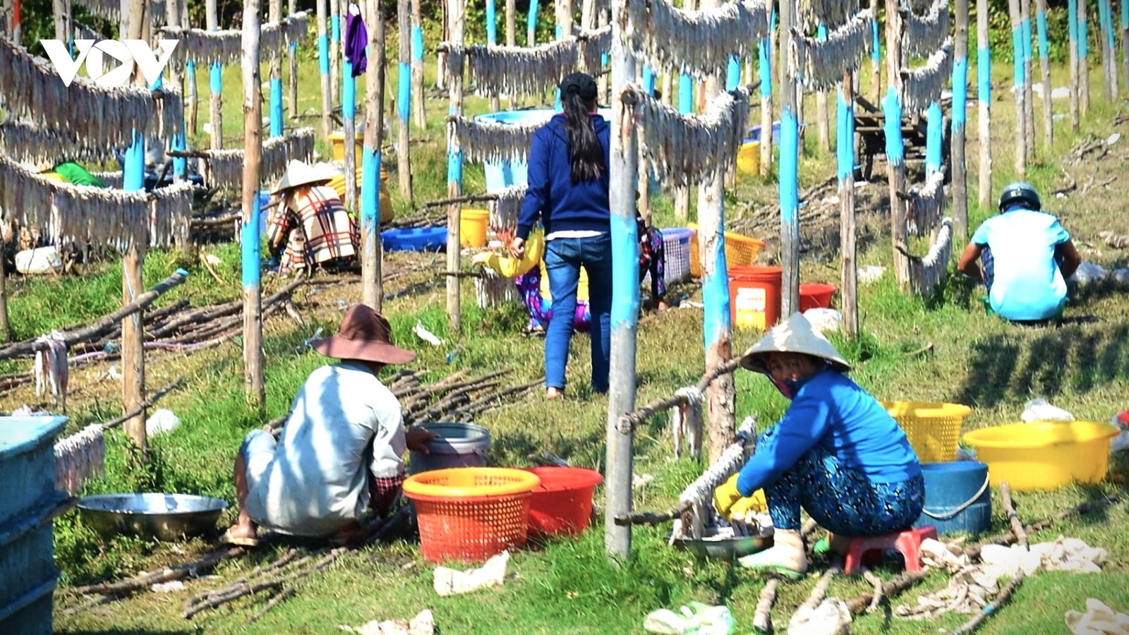 Sắc xuân ở làng nghề biển Cái Đôi Vàm