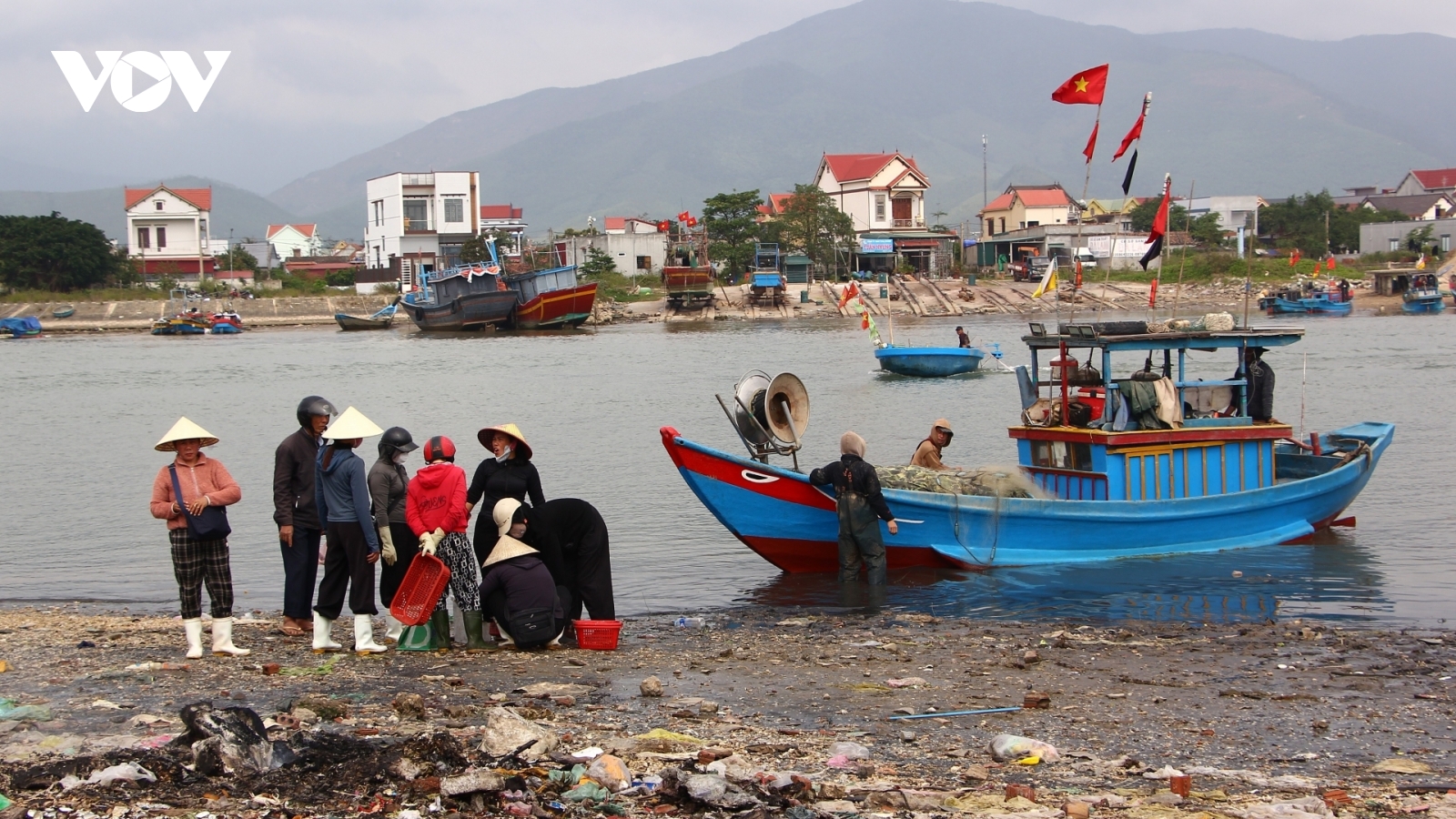 Quảng Trị siết kiểm soát từ cảng cá trong chống khai thác IUU