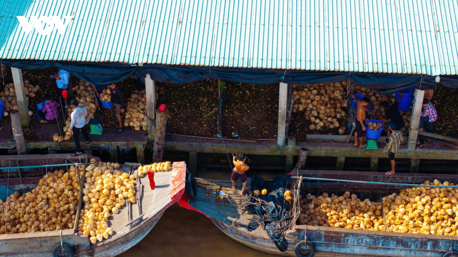 Cận cảnh làng nghề chỉ xơ dừa An Thạnh bên dòng sông Thom