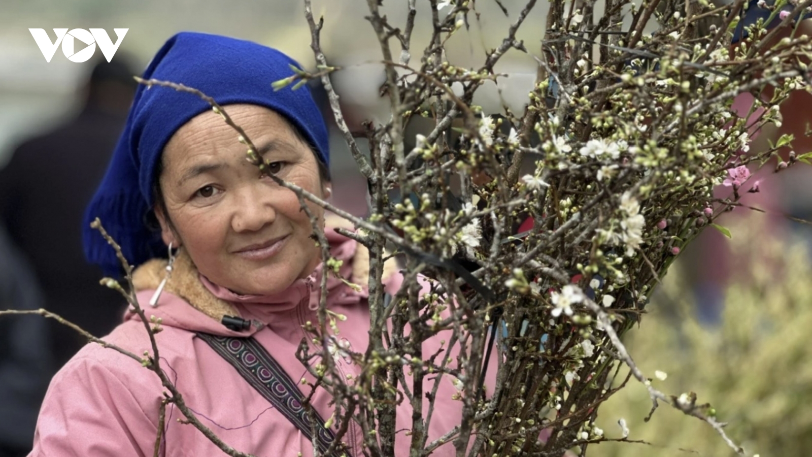 Bac Ha market comes alive ahead of Tet with wild peaches and white plums