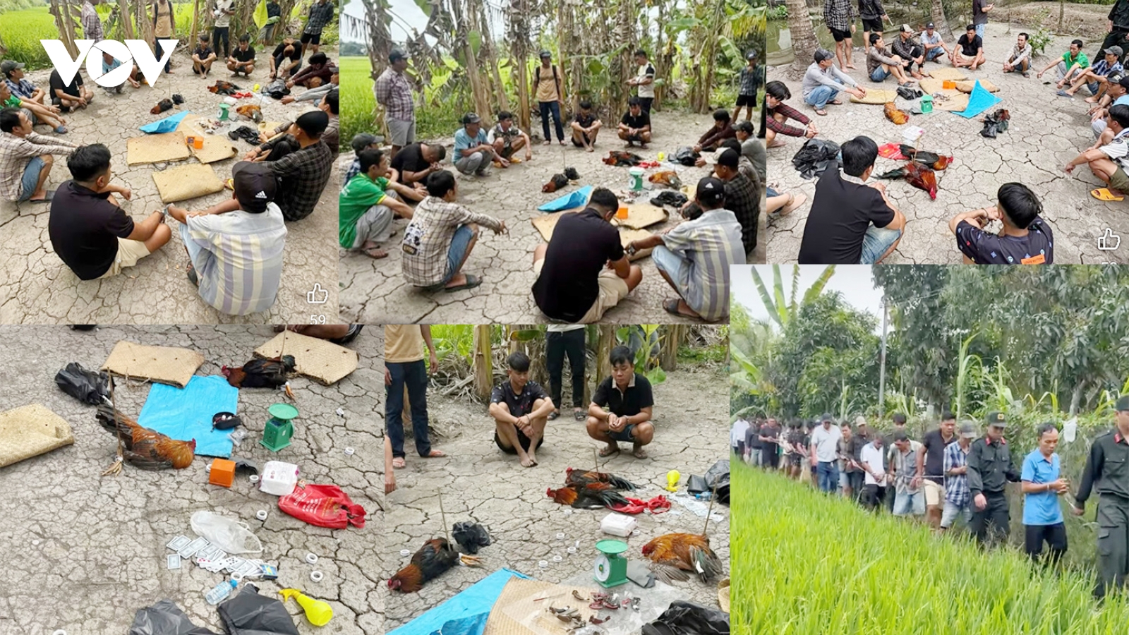 Triệt xóa trường đá gà, tạm giữ 18 đối tượng