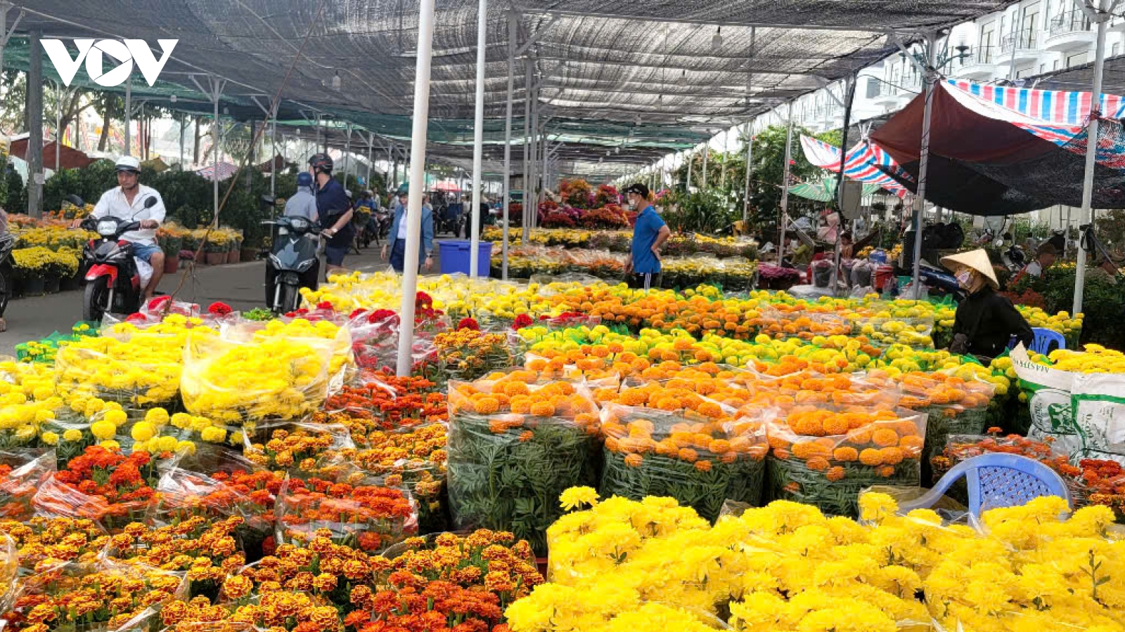 28 Tết, chợ Hoa Xuân Đồng Tháp đìu hiu, nhà vườn thấp thỏm gỡ vốn