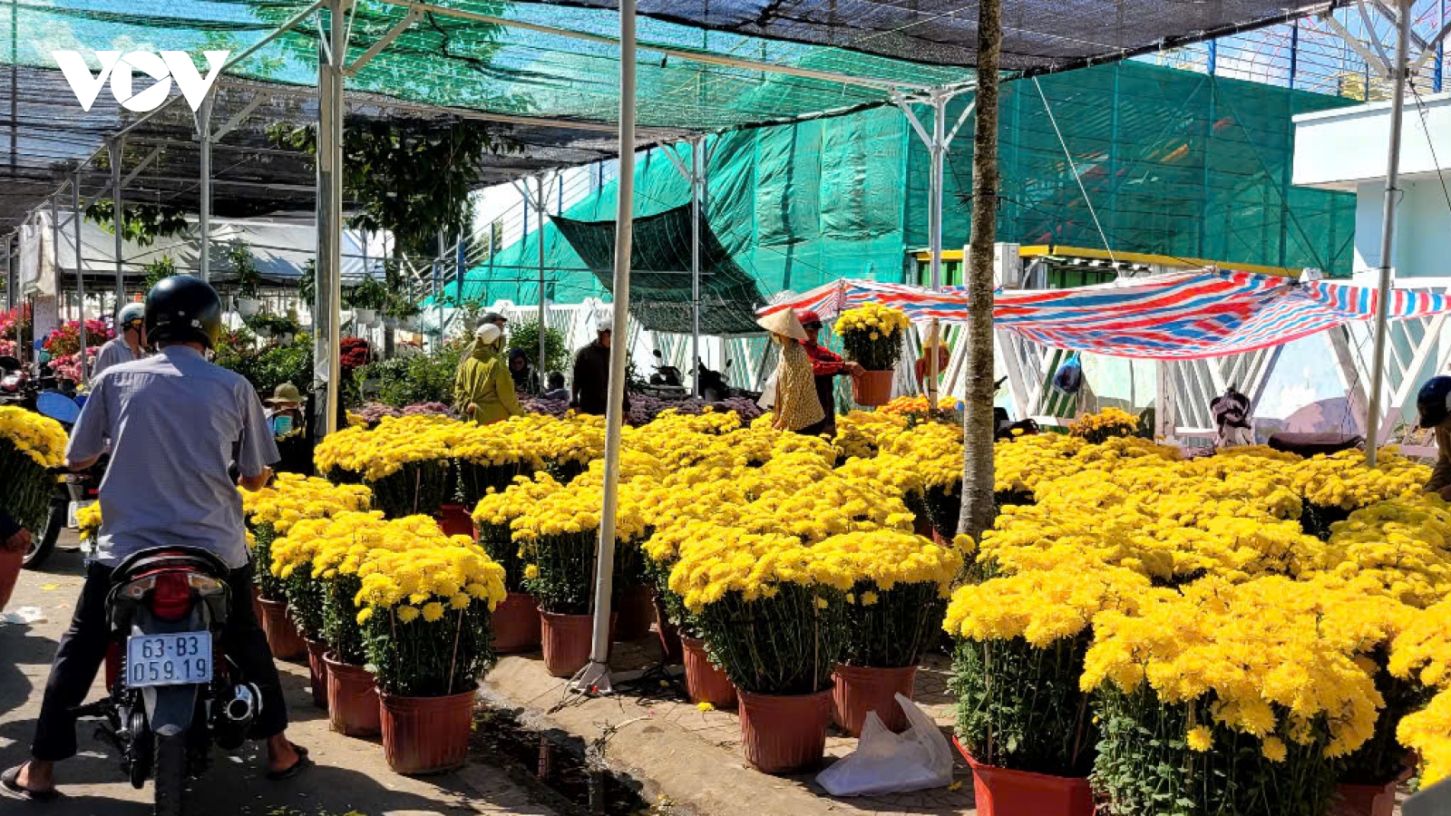 Chợ hoa Xuân Đồng Tháp ế ẩm ngày 29 Tết, nhiều tiểu thương chở hàng về