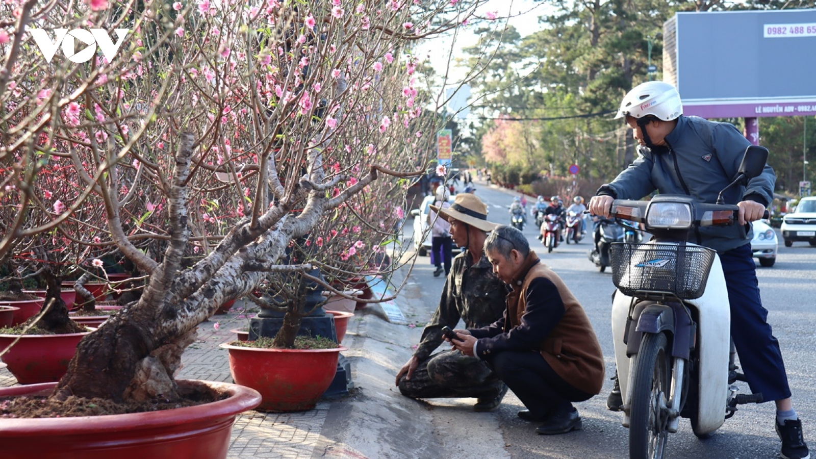 Sắc đào chợ Tết xứ ngàn hoa