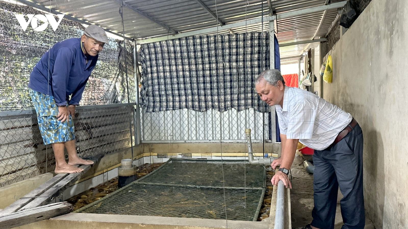 Nuôi lươn không bùn - hướng thoát nghèo cho đồng bào Khmer ở Cần Thơ