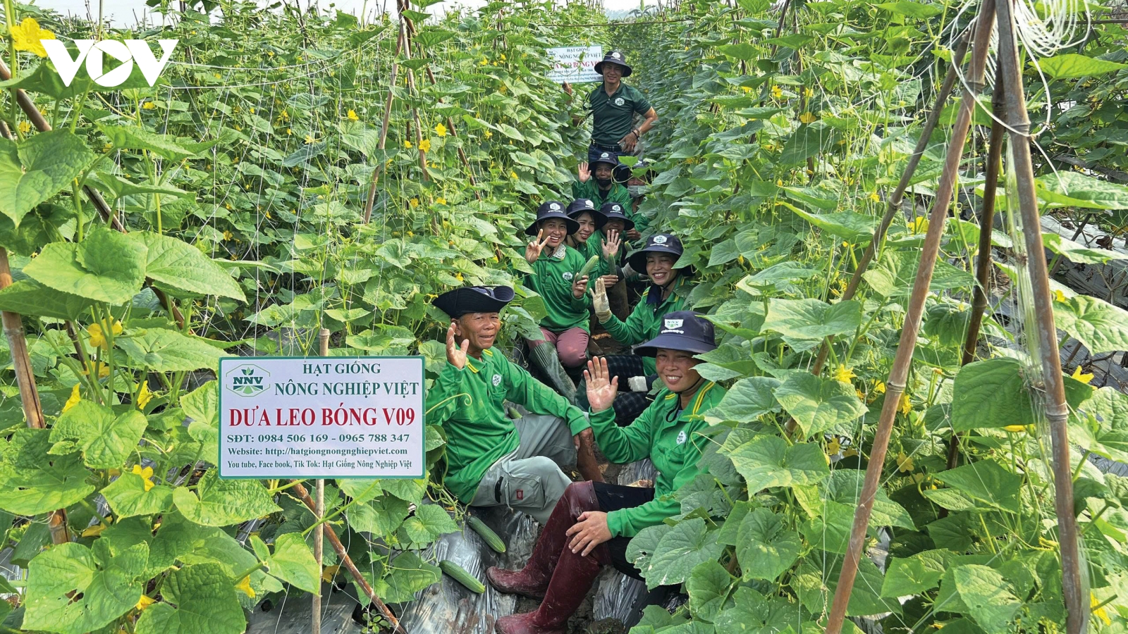 Đồng Tháp chủ động bảo vệ gần 250 nghìn ha lúa, hoa màu Đông Xuân trong mùa khô