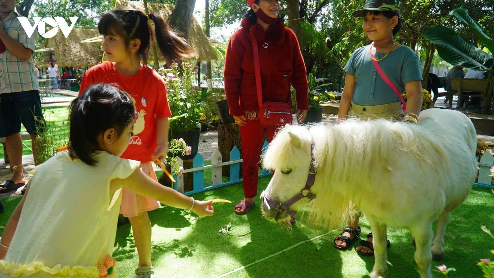 Tết Bính Ngọ du khách “say đắm” các chú ngựa lùn tại trại rắn Đồng Tâm