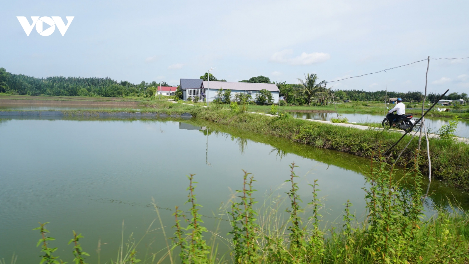 16 hồ, ao ở Tây Ninh được đưa vào danh mục cấm san lấp