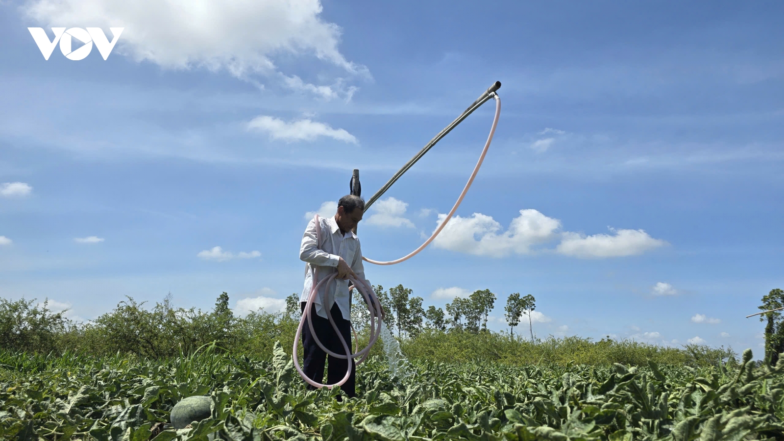 Tìm giải pháp đảm bảo an ninh nguồn nước cho ĐBSCL trước biến đổi khí hậu