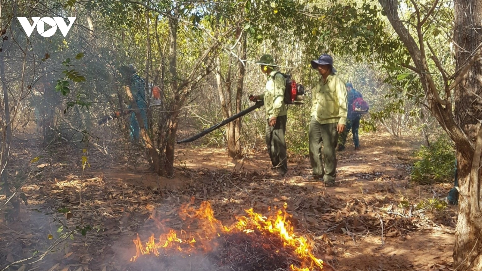 Lâm Đồng tăng cường phòng cháy rừng mùa khô 2026