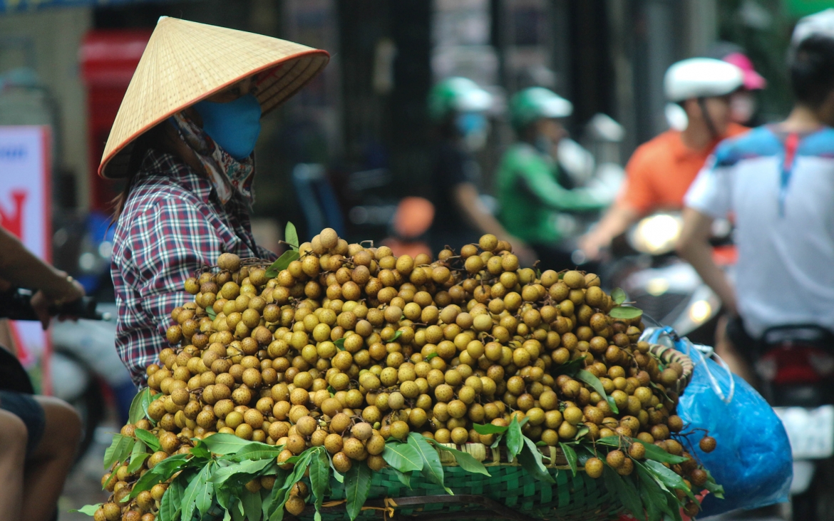 Thu Hà Nội là một món quà thiên nhiên mà bạn dù có đi khắp nơi trên thế giới cũng chẳng thể nào tìm thấy ở chốn khác. Cũng chính vì thế mà các nhạc sỹ xưa và nay đã tốn rất nhiều giấy mực để cố gắng miêu tả hết vẻ đẹp của mùa Thu nơi đây./.