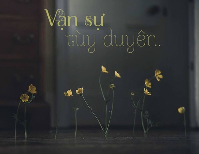 Nguồn: Internet