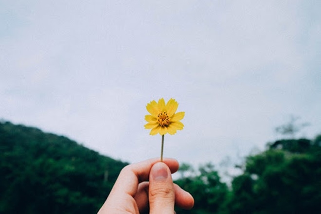 Nguồn: Internet
