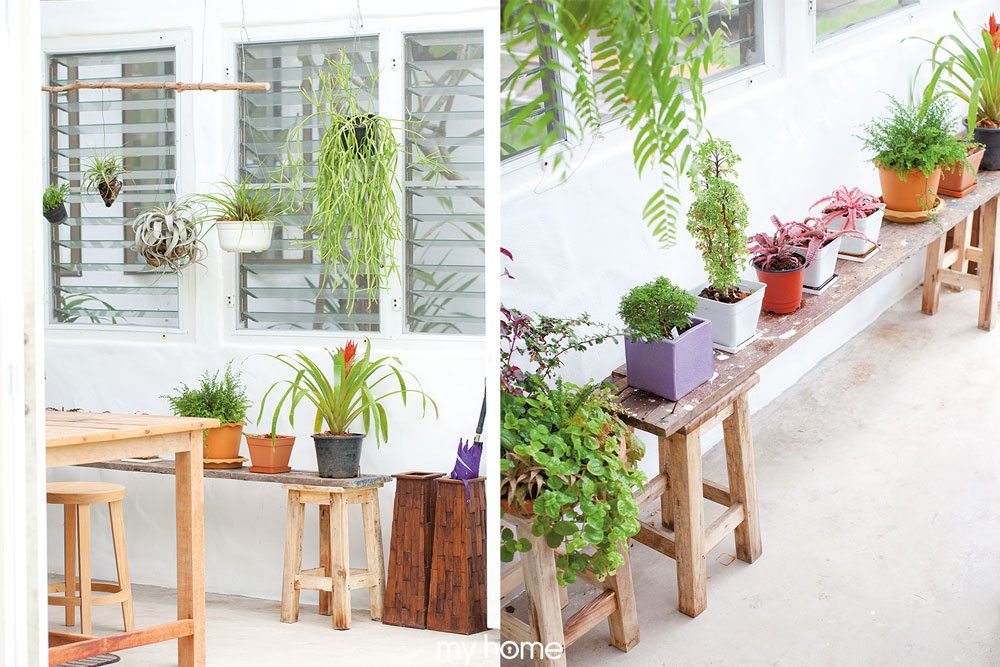 Những giỏ cây góp phần không nhỏ vào sự sinh động, tươi mới cho toàn bộ không gian./.