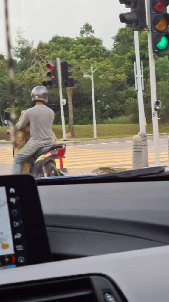 Hình ảnh người đàn ông được anh thanh niên đi ô tô chụp lại.