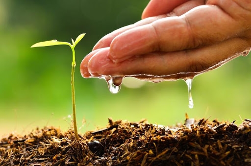 Chúng ta chẳng mất đi điều gì khi trao đi yêu thương, thậm chí còn mang lại điều tuyệt vời cho những người xung quanh (Ảnh minh họa internet)