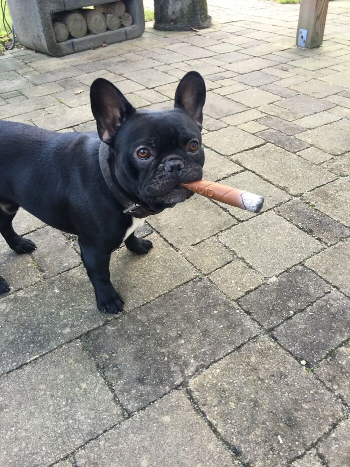 Hẳn là cũng hút cigar.