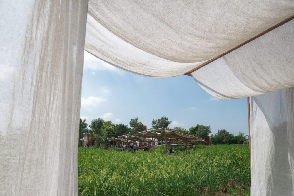 Chòi cafe ở giữa cánh đồng.