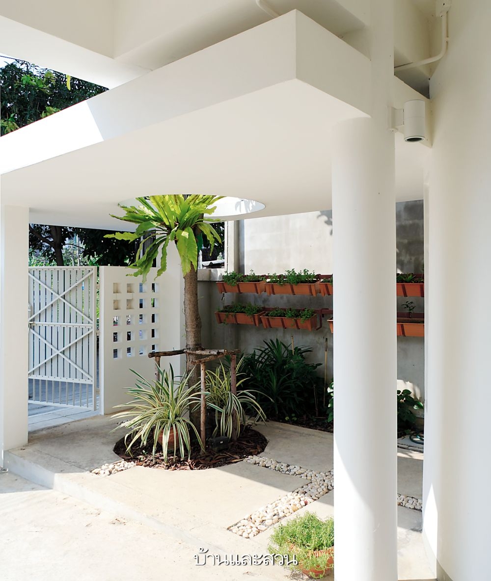 Thiết kế mái bê tông có lỗ hổng để trồng cây xanh ngay tại lối đi vào là chủ ý của nhà thiết kế với mong ước vừa tạo được bóng mát lại có thể che chắn ánh nắng cho bãi đỗ xe khi chiều tới.