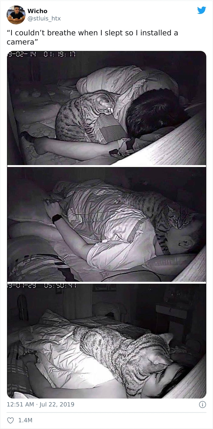 Chỉ khi kiểm tra camera tôi mới biết nguyên nhân khiến tôi bị chứng khó thở khi ngủ.