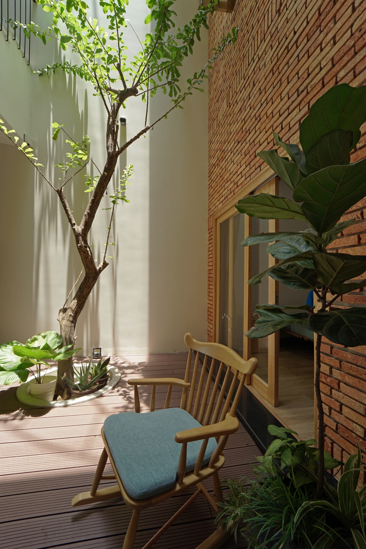 Những khoảnh khắc đáng yêu trong ngôi nhà./.