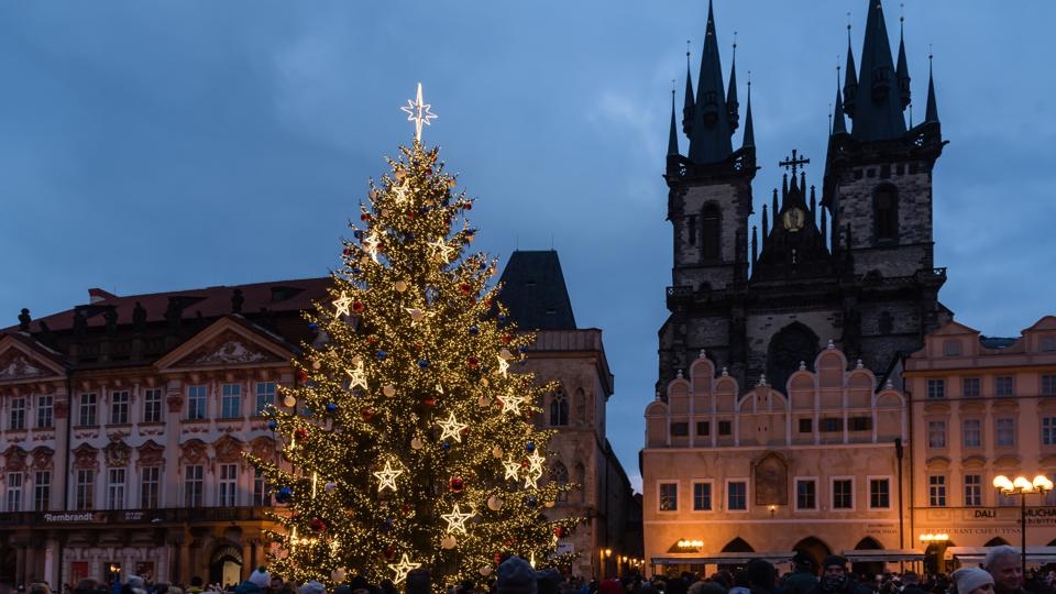 Cây thông ở trung tâm thủ đô Praha, CH Séc.