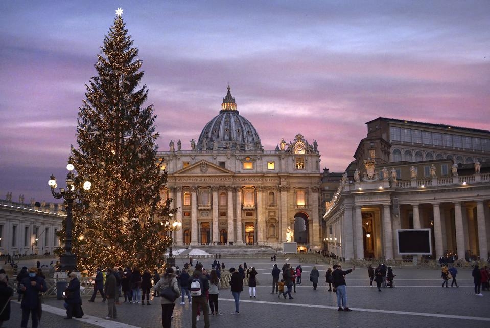 Cây thông khổng lồ ở quảng trường St. Peter, toà Thánh Vatican.