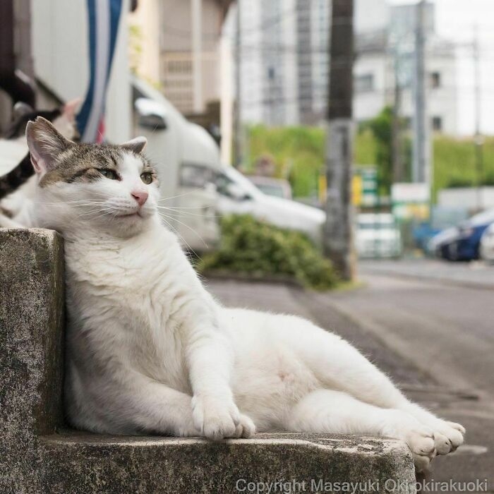 Mơ về nơi xa lắm.