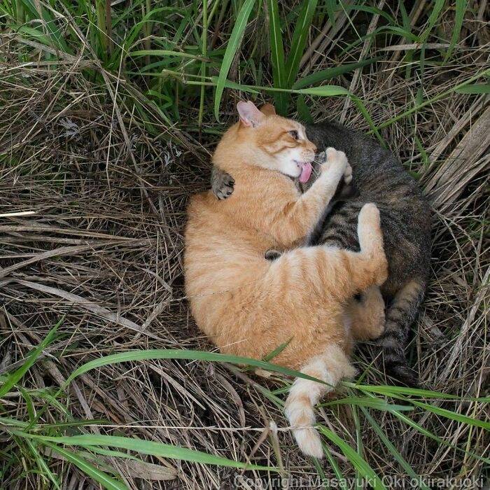 Yêu thương hết sức./.