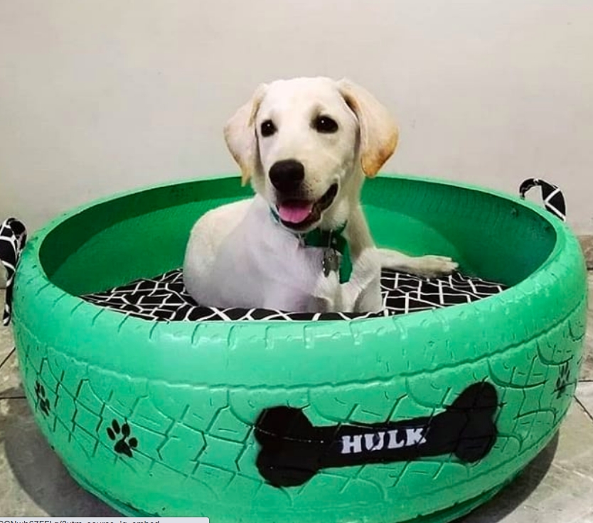 Ổ nằm ấm áp của chó cưng.