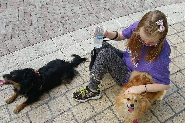 Hai chú chó nghỉ ngơi trong lúc đưa cô bé mắc chứng Down đi dạo.
