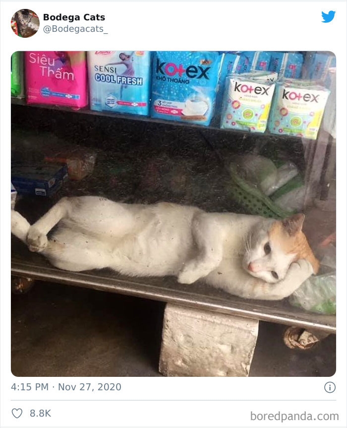 Đau đầu quá, dùng loại nào đây?