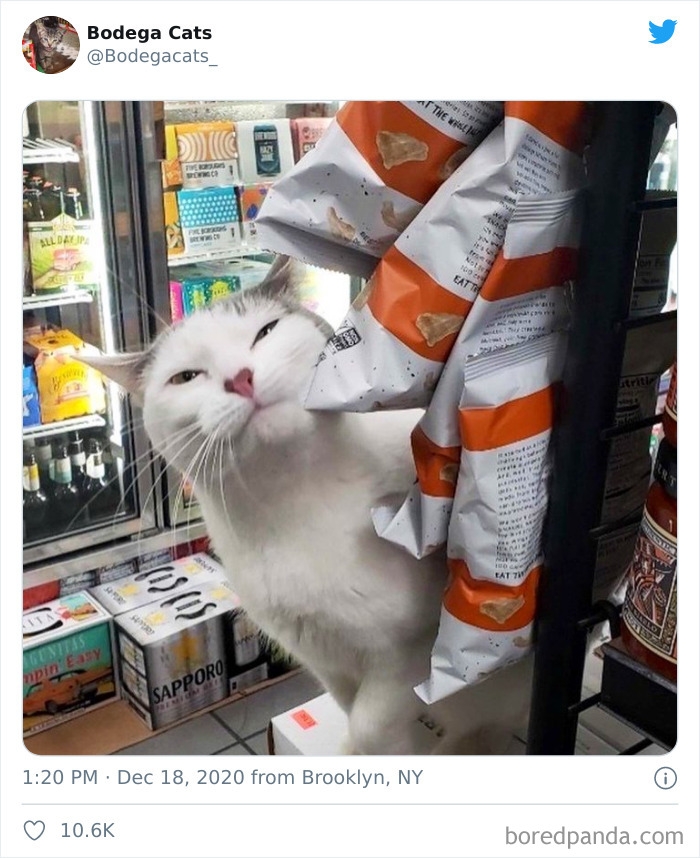 Đúng là siêu thị tiện lợi mà.