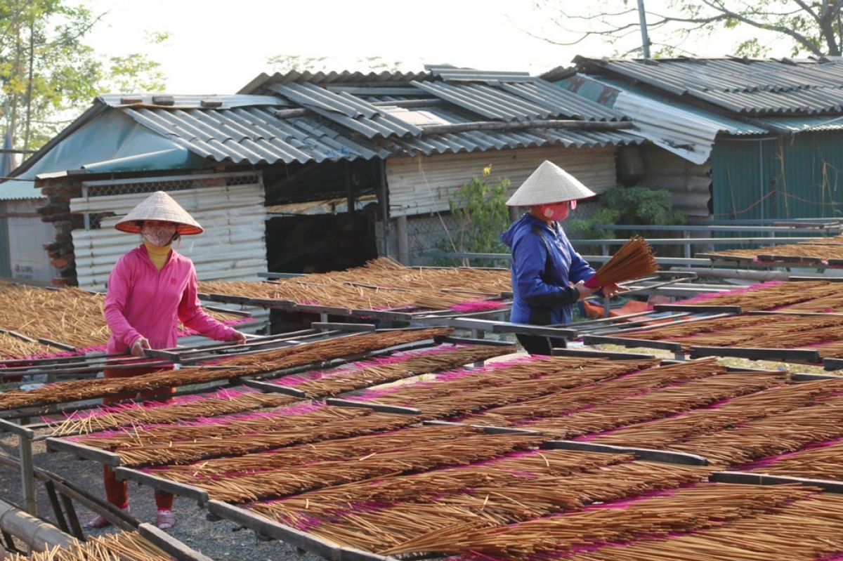 Residents in Quang Phu Cau commune of Ung Hoa district dry incense as they gear up for the Lunar New Year festival.