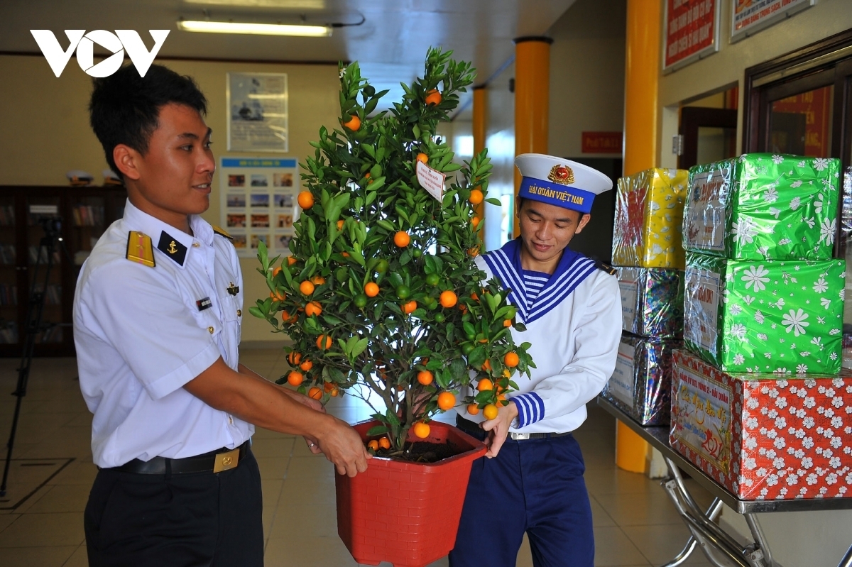 A kumquat tree, another symbol of spring during the Tet holiday, has also been transfered to the island.