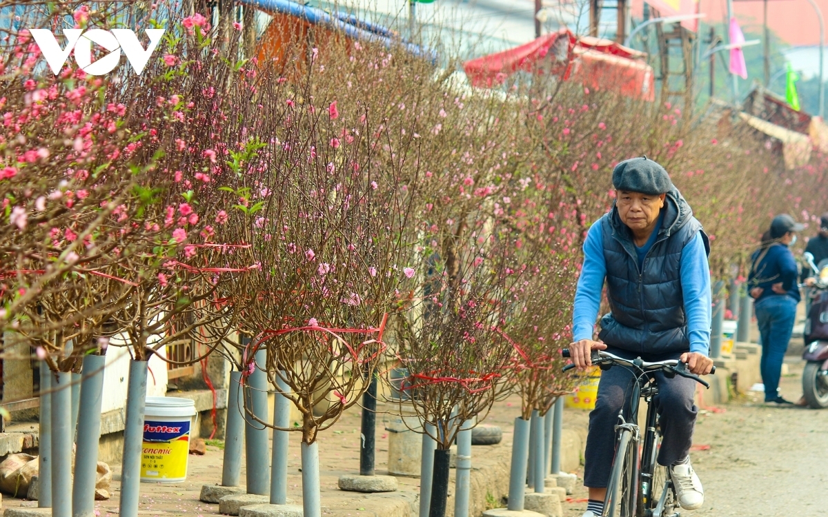 Located just five km from the city centre, Quang Ba Flower Market is an ideal place for local people to purchase flowers, especially on special occasions like the lunar New Year holiday (Tet), which is less than three weeks away.