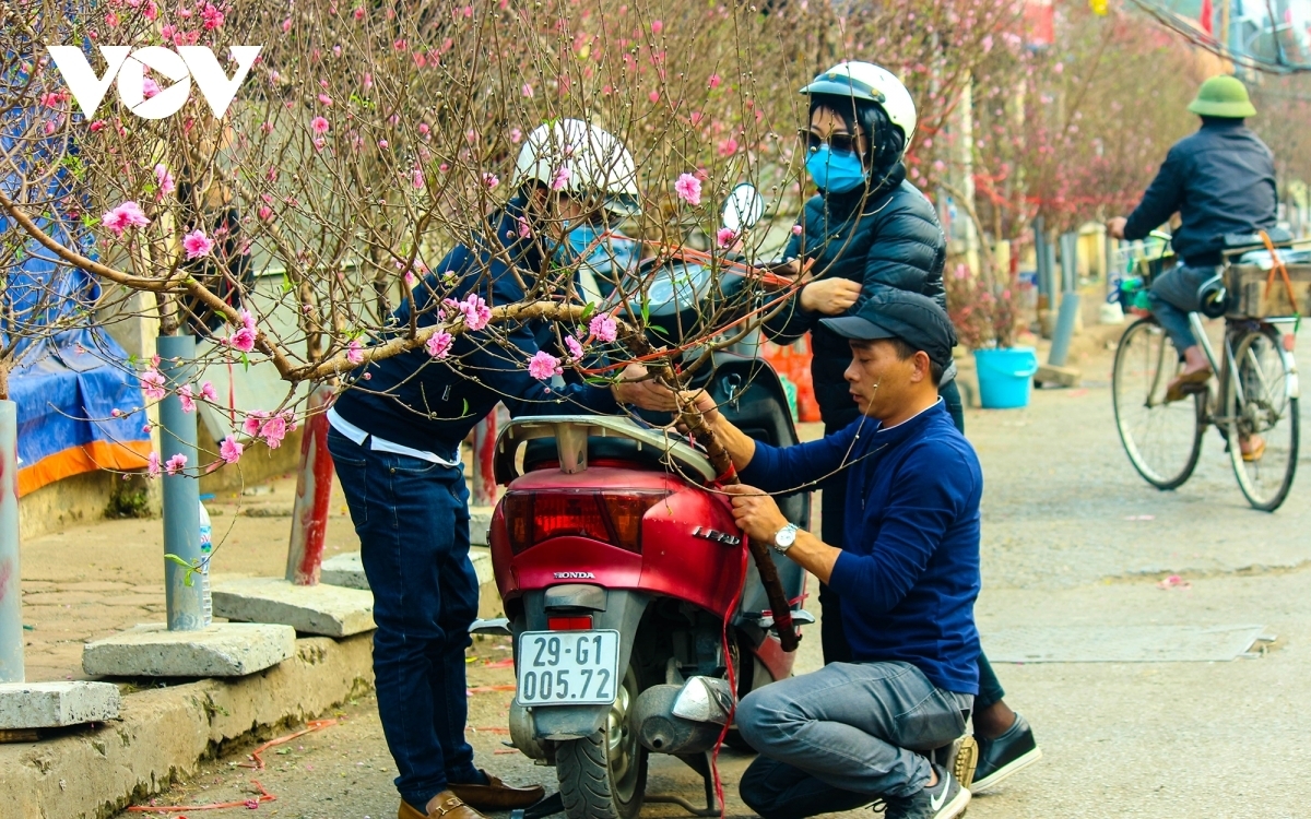 A big branch of peach flowers is the favourite with most of local residents as it is offered at an affordable price.