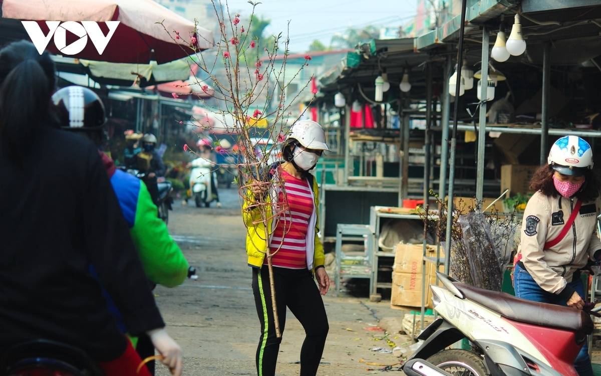 For Hanoians, they prefer a branch at the beginning of the peach flower season, and they then switch to a tree during the Tet holiday.