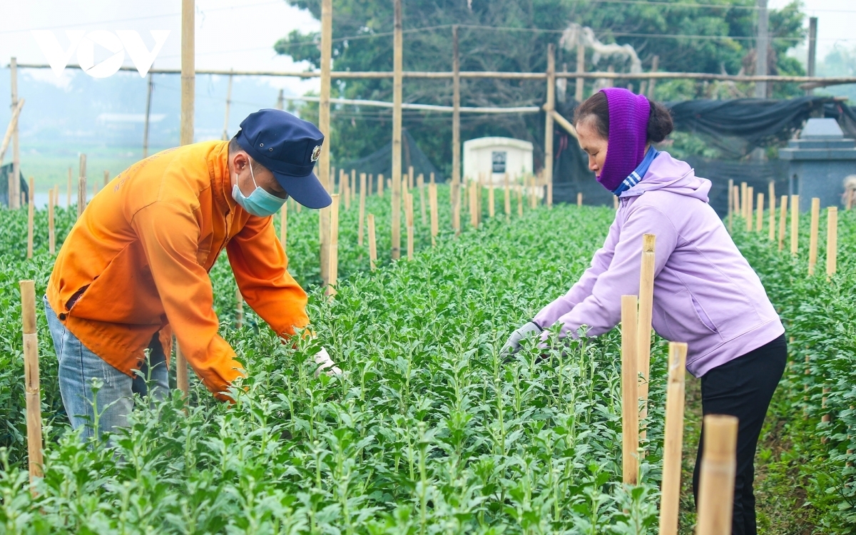 The art of floriculture helps to raise incomes and create better living standards among local people.