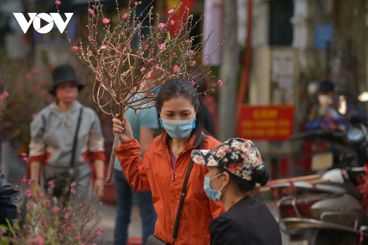 Đào cành, đào cắm lọ là mặt hàng được yêu thích trong phiên chợ.