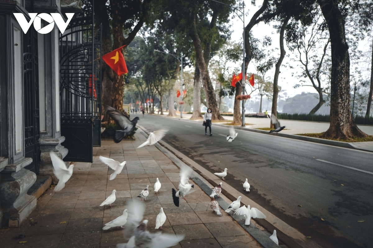 Hanoi deserves to be known as a city for peace, a UNESCO tittle the city has won in 1999.