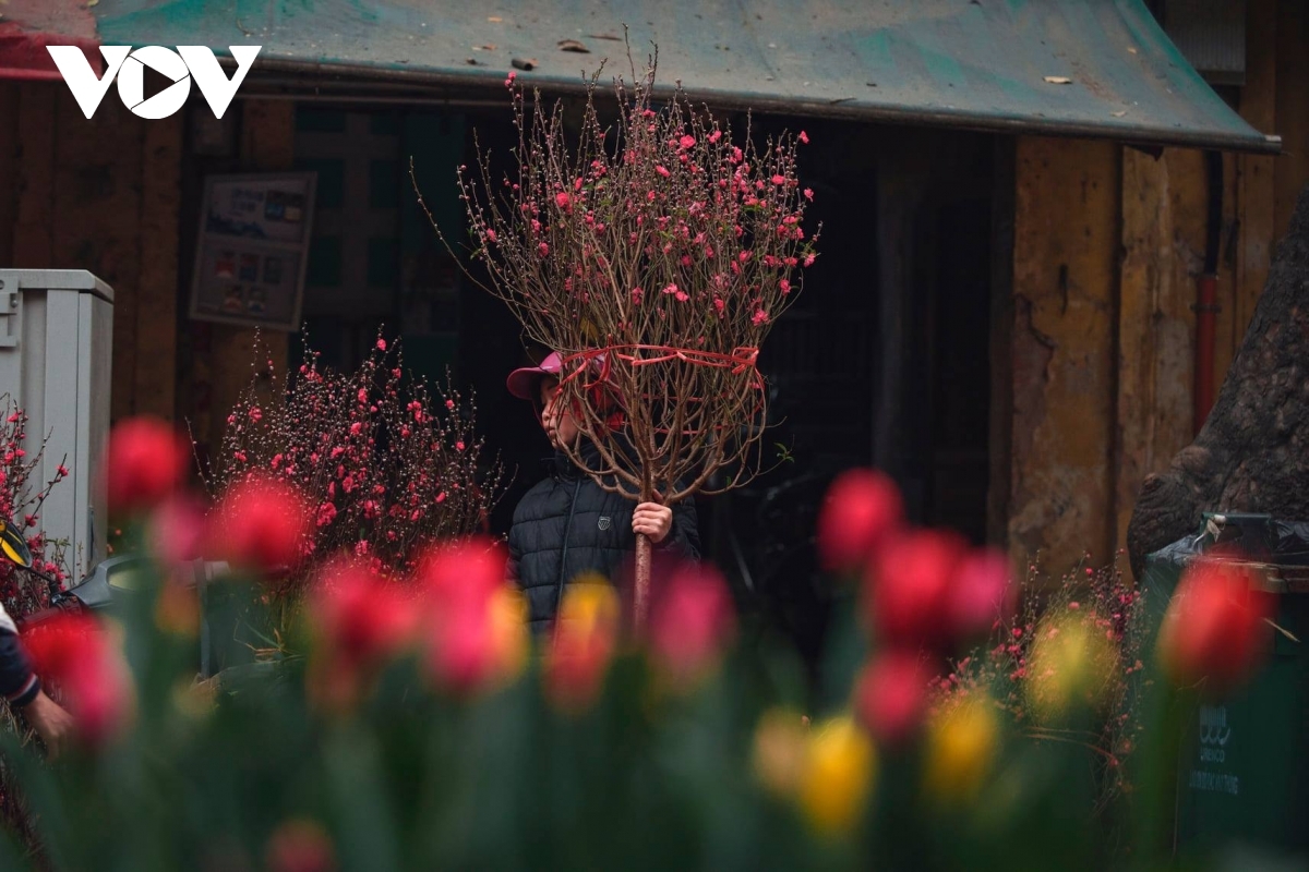 Locals prepare flowers in order to decorate their home with festive items for Tet.