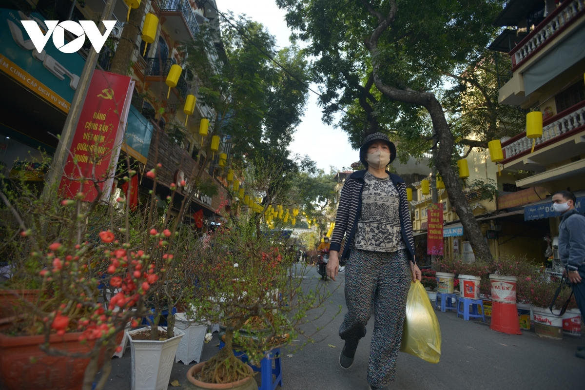 Not only people living in the Old Quarter but those from other localities visit the market for Tet decorations or flowers.