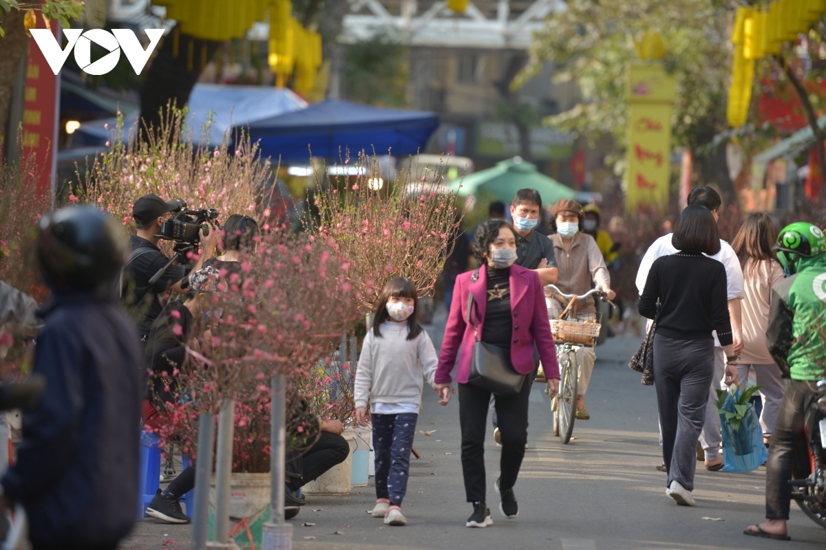 Blossoming peach branches are the favourites with local residents ahead of the Tet holiday.