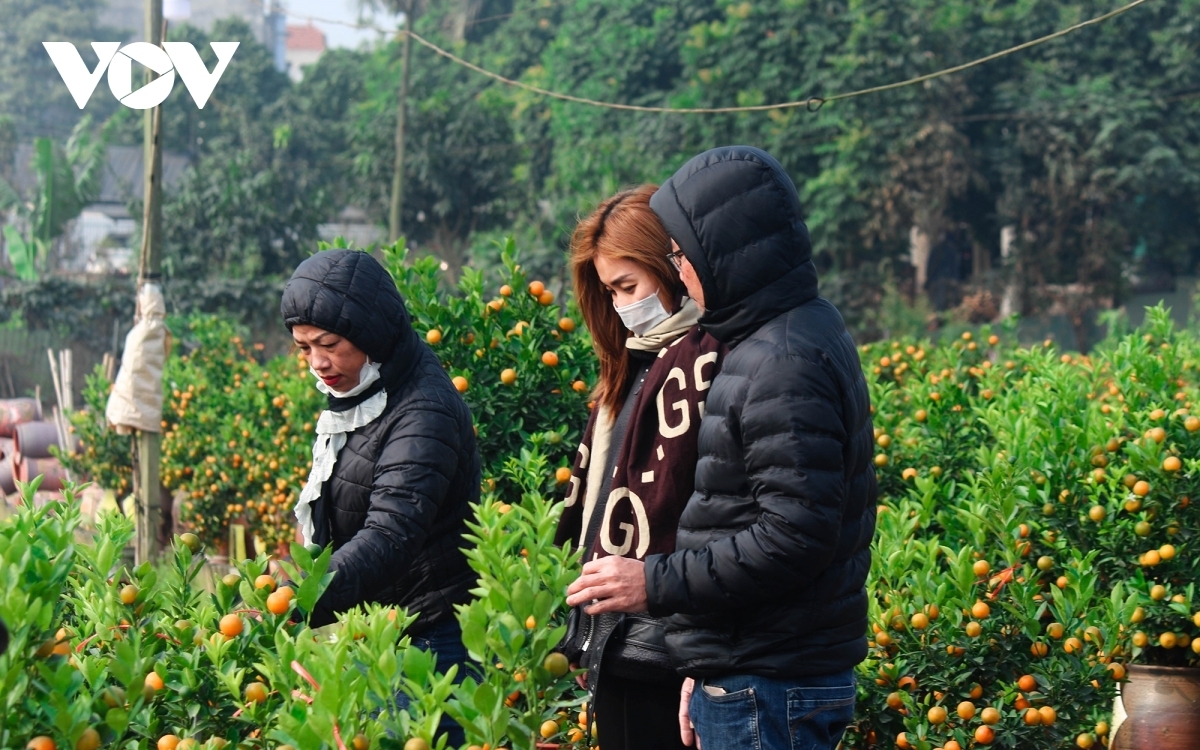 Despite the impact of the novel coronavirus (COVID-19) pandemic, plenty of people still come to Tu Lien village to make purchases.