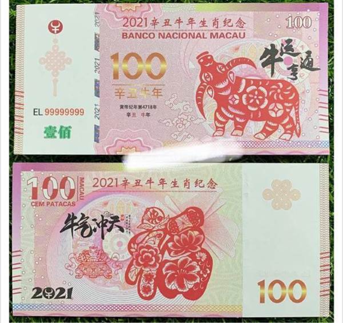 Paper money from Macao (China) is priced at VND20,000.