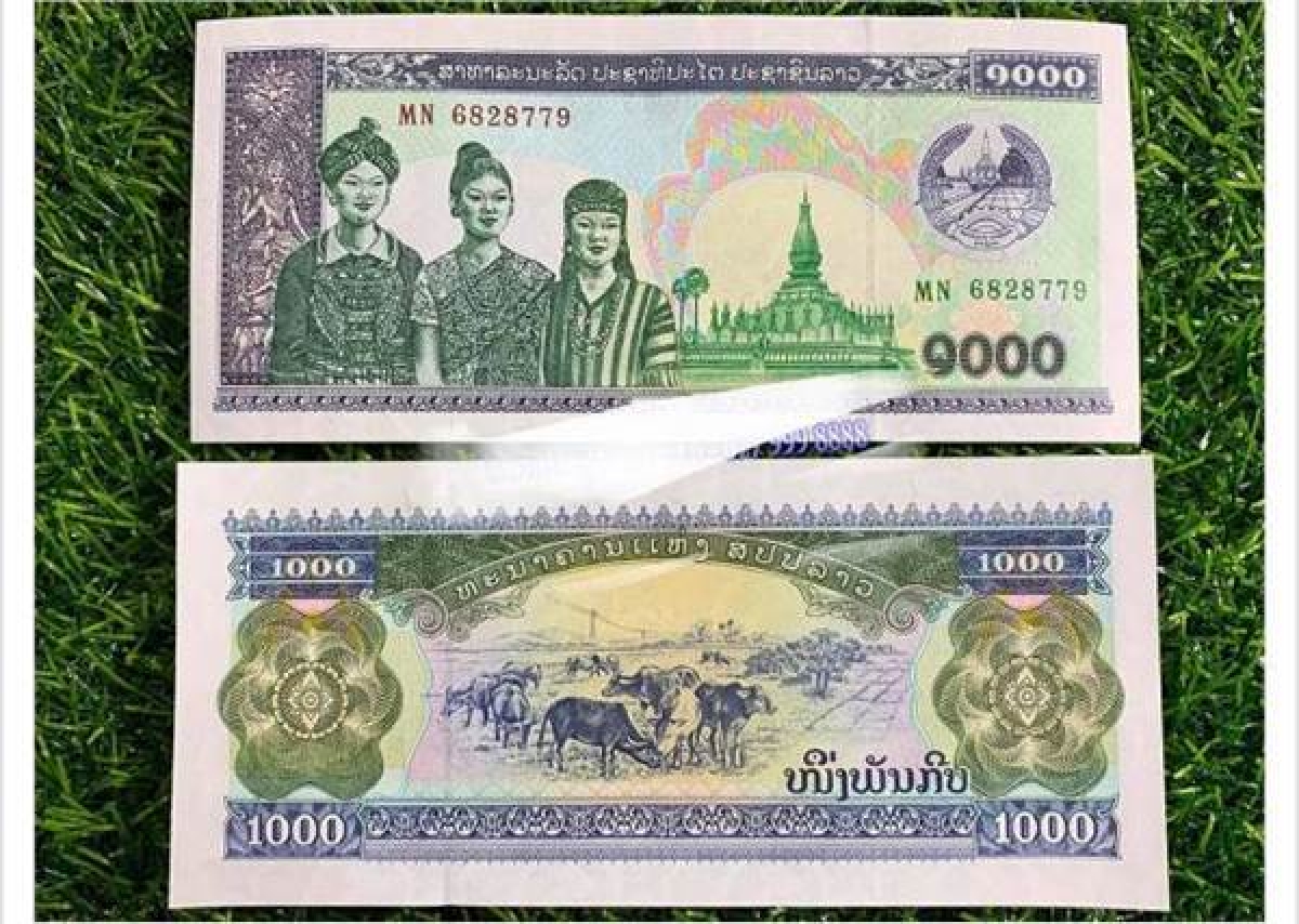 Paper money from other countries featuring images of buffalo are also on sale. Here is a version of Laotian paper money which is priced at VND20,000 each.